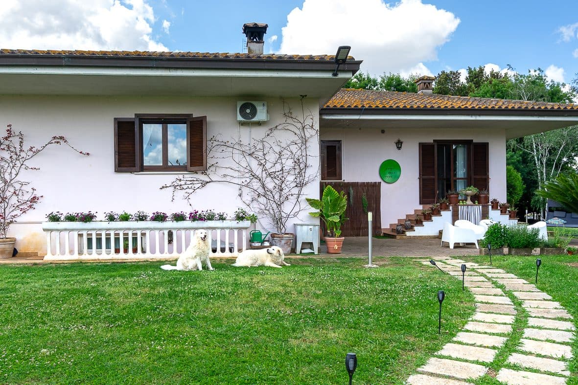 La villa vista dal vialetto, con i cani di casa